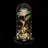 Relaxdays Ewige Rose im Glas, LED-Beleuchtung, HD: 22x11 cm, Kunstrose als Mutter- & Valentinstaggeschenk, Galaxy, bunt