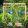 Dobar Tomatenhaus 116 x 71 x 120 cm Naturbelassen