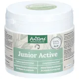 AniForte Junior Active Pulver 250 g