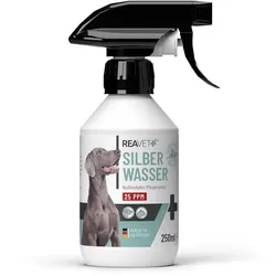 Silberwasser 250 ml 250 ml