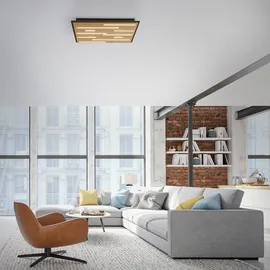 Paul Neuhaus Q-AKUSTIK (LBH 62x62x6 cm) Braun