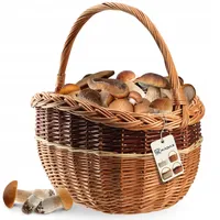 KADAX Weidenkorb für Pilze, Ovaler Korb zum Einkaufen
