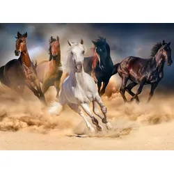 Fototapete PAPERMOON "Horse Herd in Gallop", bunt (mehrfarbig), B:5m L:2,8m, Vlies, Tapeten