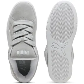 Puma Park Lifestyle Easy SD Cool Light Gray/Puma White 40,5