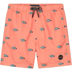 Boardshorts Clownfish Gr. 164 - 14 Jahre