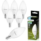 OEM LED-Kerzenlampe B35 10W E14 6500 K 6 St.