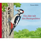 Gerstenberg Verlag Ein Jahr mit den Buntspechten