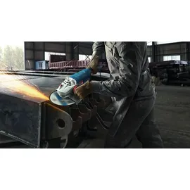 Bosch GWS 24-230 P Professional