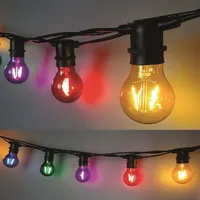 FHS International Party Filament Lichterkette 10er Birne bunt 5m
