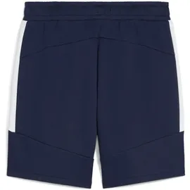 Puma teamEvostripe Shorts Herren 06 navy/silver/white M