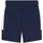 Puma teamEvostripe Shorts Herren 06 navy/silver/white M