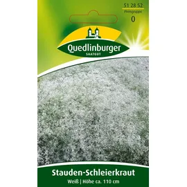 Quedlinburger Saatgut Stauden-Schleierkraut 'Weiss' Quedlinburger Blumensamen