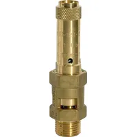 Riegler Sicherheitsventil, Messing, G 1, Ansprechdruck 11 bar