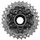 Shimano Kassette 12-Fach 11-30 Zähne Silber