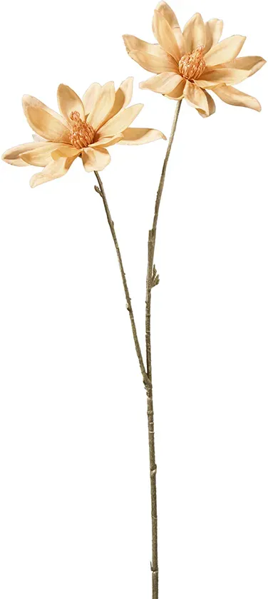Magnolien Zweig x2 61cm orange