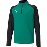 Puma teamLIGA 1/4-Zip Top Kinder pepper green/black 152