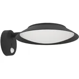 EGLO LED-Solar-Wandleuchte Cerrisi mit Sensor 10,5 cm x 25 cm Schwarz