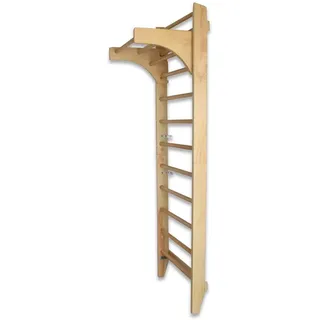 BITUXX Sprossenwand Kletterwand Turnwand Klettergerüst Turngerät mit variabler Klimmzugstange 10 Sprossen bis 120Kg