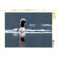 Calvendo Arktischer Prachttaucher, Moray Firth Puzzle