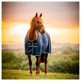 Horseware Pferde-Regendecke Horseware Amigo Ripstop 900D Pony Turnout 50g 80 cm / 4'0 cm