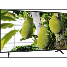 TCL 55Q6C 55 Zoll QD-MiniLED 4K Google TV