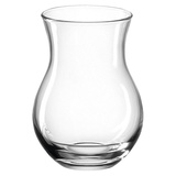 LEONARDO Casolare Vase Rübenförmige Vase Glas Transparent