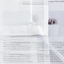 Joyswahl Raffrollo 140 x 140 cm transparent/weiß