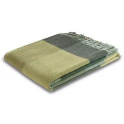 Plaid BIEDERLACK "Soft Impression", grün, B:130cm L:170cm, Wolle, Kaschmir, Wohndecken, im klassischen Karodesign