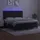 vidaXL Boxspringbett mit Matratze & LED Schwarz 180x200 cm Samt