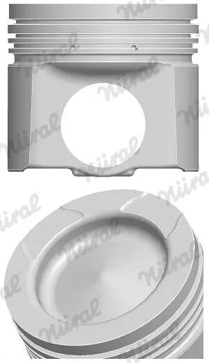 NÜRAL 8743880000 für RENAULT TRUCKS Volvo