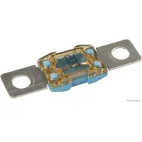 Herth+Buss HERTH&BUSS ELPARTS Sicherung 50295873