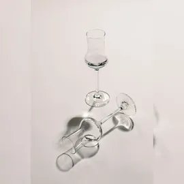 Schott Zwiesel Digestifglas 0,095 l 6-tlg.