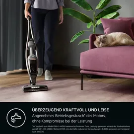 AEG Clean 6000 Akku-Staubsauger AS62A252XN