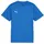 teamGOAL Jersey Jr in Blau electric blue lemonade/puma white/puma team royal 128