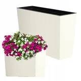 KADAX Blumenkasten aus Kunststoff, mit Einsatz, Glänzend, 56 cm, Creme