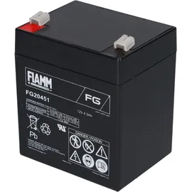 Fiamm FG20451 Pb 12V 4500 mAh 1 St.