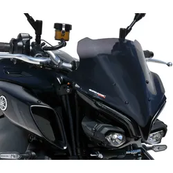 ERMAX Naked-Bike-Scheibe Acrylic (PMMA)