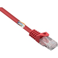 Basetech BT-2304658 Netzwerkkabel, Rot 0,15 m Cat5e U/UTP (UTP)