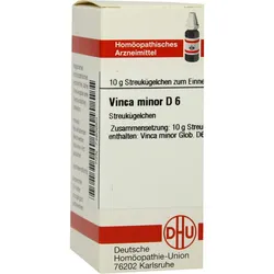 Vinca Minor D 6 10 G