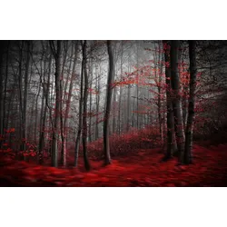Fototapete PAPERMOON "Photo-Art SAMANTA KRIVEC, BLUTIGER FORREST", bunt, B:4,00m L:2,60m, Vlies, Tapeten