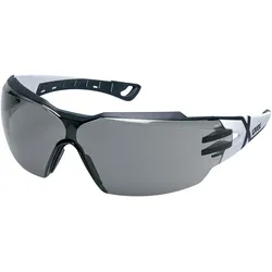 Uvex Schutzbrille pheos cx2, grau