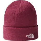THE NORTH FACE Herren Mütze NORM SHALLOW BEANIE, BOYSENBERRY, ONE SIZE
