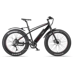 E-Bike Fat Bike Aufsteiger Fm350