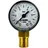 BieTal Caleffi Arbeitsmanometer Manometer 50mm mit 1/4 Zoll Gewinde - Anzeige 0-10 bar