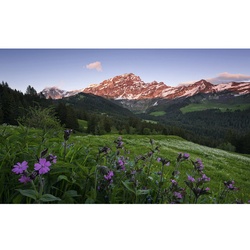 KOMAR Vliestapete »Switzerland«, Breite 450 cm, seidenmatt - bunt