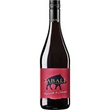 Virgen del Aguila Jabali-Agoston Tempranillo-Cabernet 2023