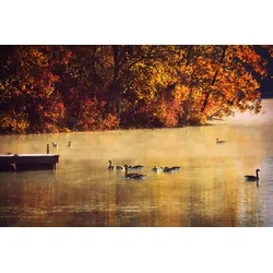 Fototapete PAPERMOON "See mit Enten", bunt, B:4,00m L:2,60m, Vlies, Tapeten