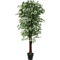 Decovego Ficus Benjamin Kunstbaum im Topf, mit Echtholz 180