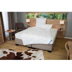 Microfaserbettdecke BECO "Bettdecke Royal Soft Duo, Bettdecken für Sommer und Winter, Decke", weiß, B:155cm L:220cm, Bezug: 100% Polyester. Füllung: 100% Polyester, Bettdecken, Bettdecke 135x200 cm, 155x220 cm, exzellente Klimaeigenschaften