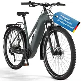 Fischer TERRA 6.8i 28 Zoll RH 43 cm Unisex grün
